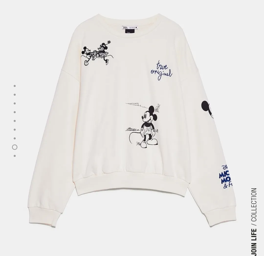 ZARA  |Unisex Other Animal Patterns Hoodies & Sweatshirts